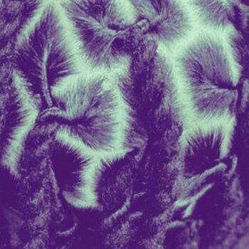 locks_invisibles